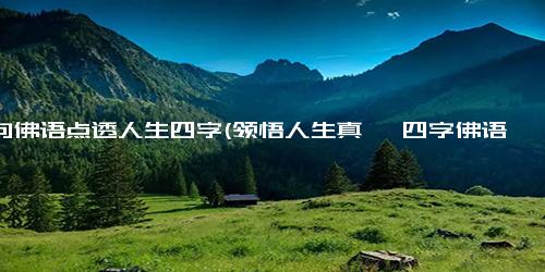 一句佛语点透人生四字(领悟人生真谛 四字佛语助你脱离烦恼)